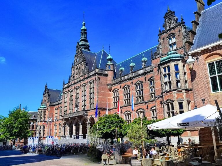 city-detective-groningen-university