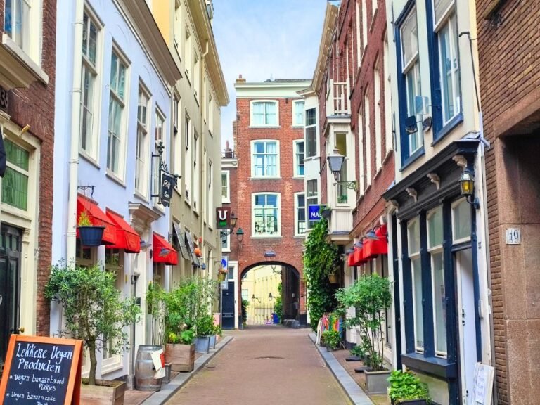 city-detective-the-hague-iconic-shot-prinsestraat