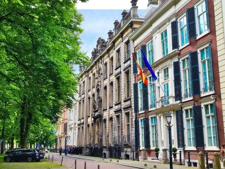 city-detective-the-hague-lange-voorhout