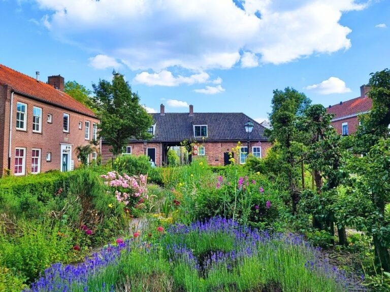 self-guided-city-game-early-morning-light-jeroen-bosch-tuin